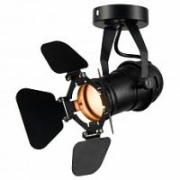 Спот Lussole Thornton GRLSP-9838. Фото №1