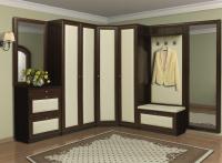 Модульная система для Прихожей Благо 6 Композиция 6
