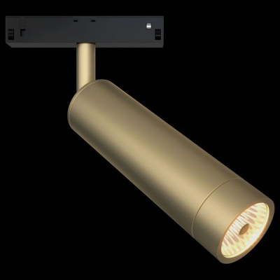 Светильник на штанге Maytoni Technical Track TR019-2-7W4K-MG. Фото