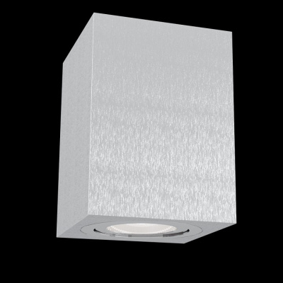 Накладной светильник Maytoni Alfa C017CL-01S. Фото