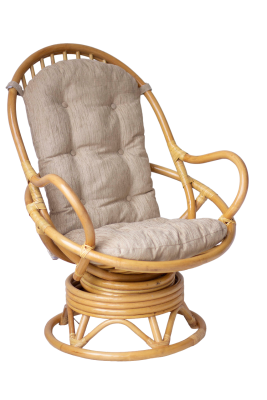 Крутящееся кресло 05/01. Фото