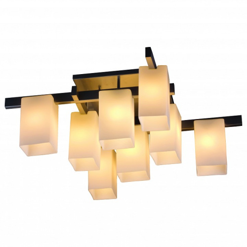 Потолочная люстра ST-Luce Caset SL541.102.08. Фото №1