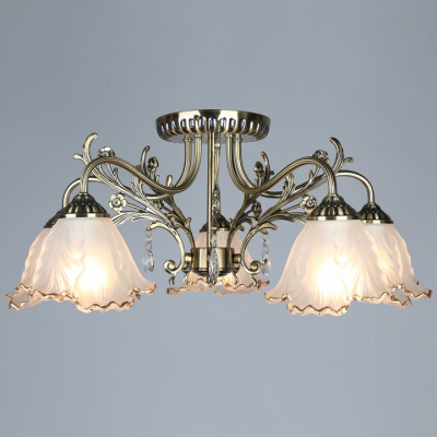 Потолочная люстра Omnilux Petrara OML-54807-05. Фото №2