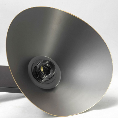 Потолочная люстра Lussole Opelika LSP-9535. Фото №2