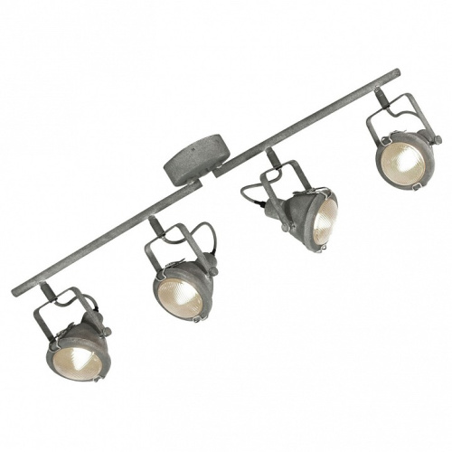 Спот Lussole Brentwood LSP-9882. Фото №1