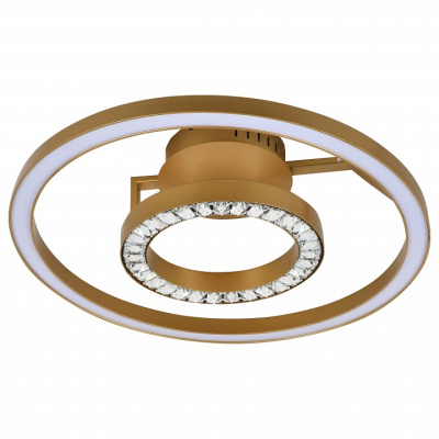 Накладной светильник Favourite Sanori 2546-2U. Фото