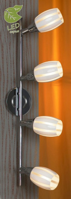 Спот Lussole Brindidi GRLSX-6709-04. Фото